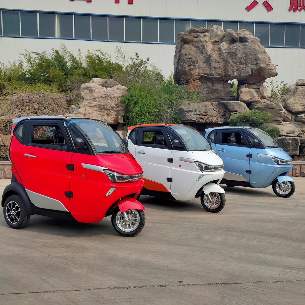 City Use 3000W Electric Scooter Trike Adult with Coc