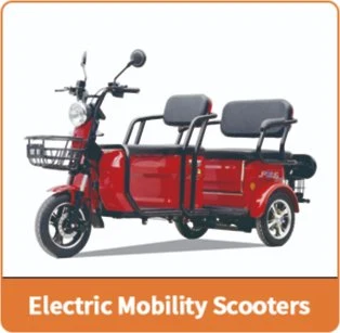 Daily Life Use Passenger Electric Trike Tricycle City Use Leisure 3 Wheels Trike