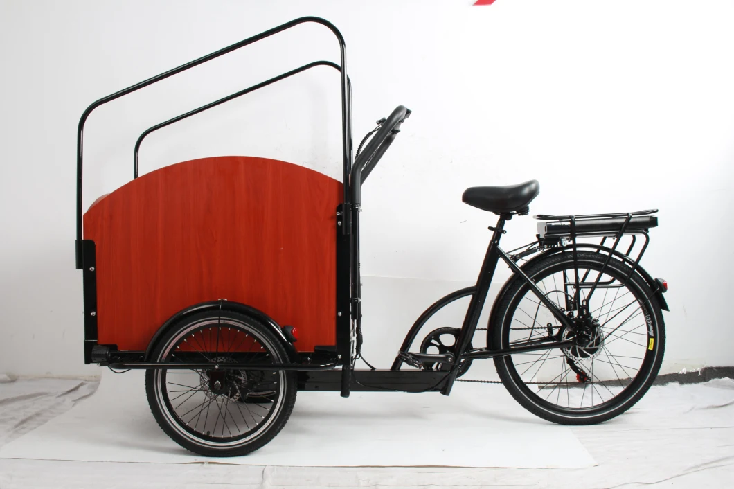 New Arrival Family Food Delivery Durable Electric City Bike 500W High-Efficient Rear Hub Motor Steel Frame E Trikes