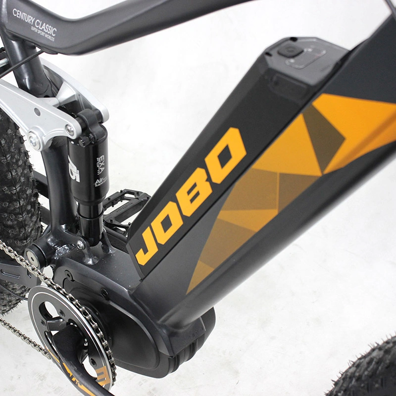 Snow Bike Review 1000W Electric Snow Bike with Suspension Jb-Tde32L-F