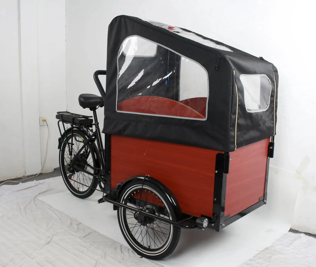 New Arrival Family Food Delivery Durable Electric City Bike 500W High-Efficient Rear Hub Motor Steel Frame E Trikes