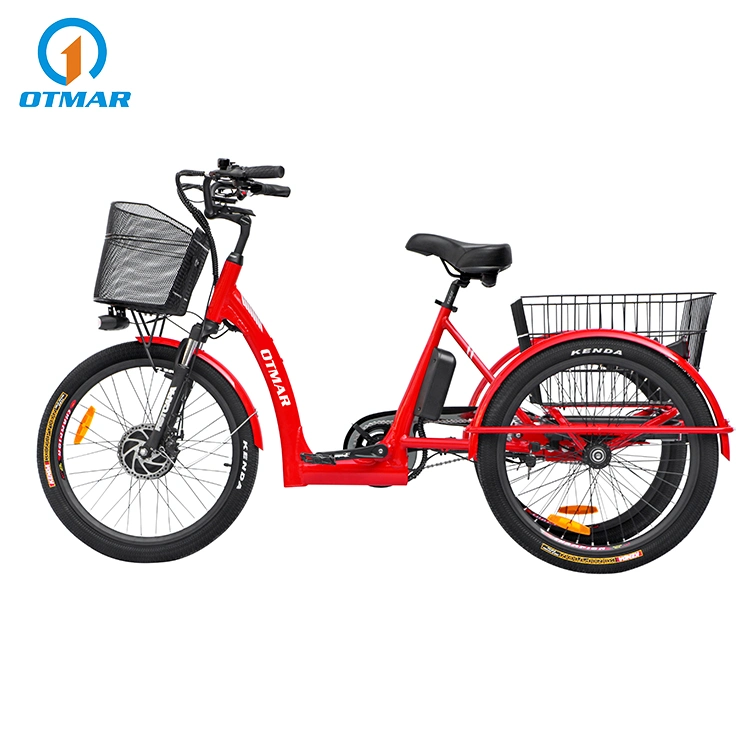 China OEM Cheap Price Cargo Three Wheel Tricycle Electric 24 Inch Nexus 3 Speed City Electric Trike Dual Rear Carrier Battery E Trike