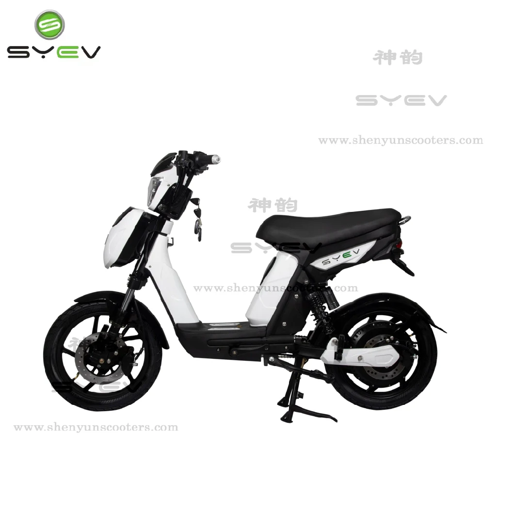 Powerful and Hot Sell Electric Scooter Lithium Battery/Lead Acid 800W Brushless DC Motor 40km/H