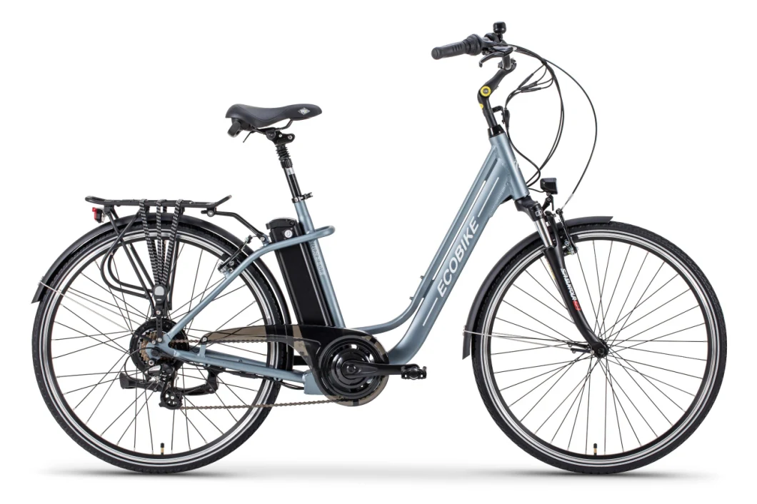 2019 Wholesale Cheap Lady Light Weight City E-Bike with Lithium Battery