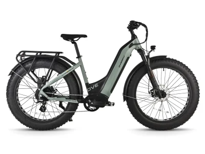 Woman/Female Version Step-Thru Electric Bike