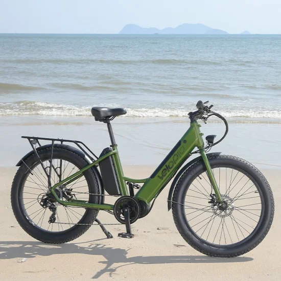 48V 500W Electric City Bike MID Drive Motor Cycling Electric Bicycle Powerful Ebike Fat Tire Electric Mountain Bike