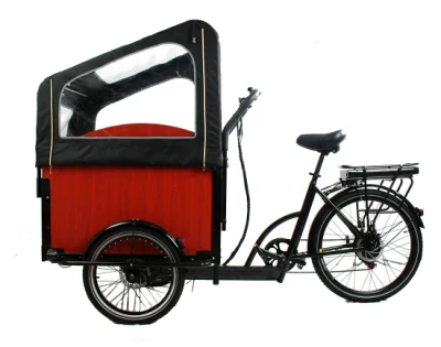 New Arrival Family Food Delivery Durable Electric City Bike 500W High-Efficient Rear Hub Motor Steel Frame E Trikes