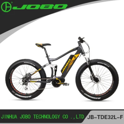 Snow Bike Review 1000W Electric Snow Bike with Suspension Jb-Tde32L-F