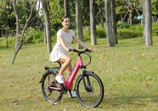 36V 48V Urban Ebike City Electric Cycle with Hidden Battery 26inch E Bicycle Electric Bike for Adults Sample Customization