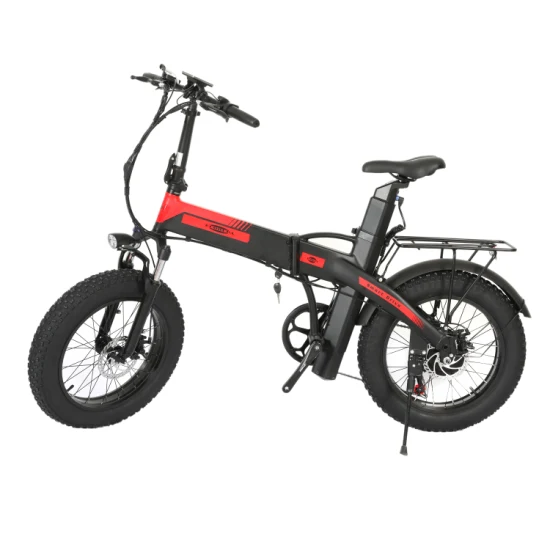 Adult 20inch Folding Electric Mountian Bike with 500W Motor Double Disc Brake Front Suspension