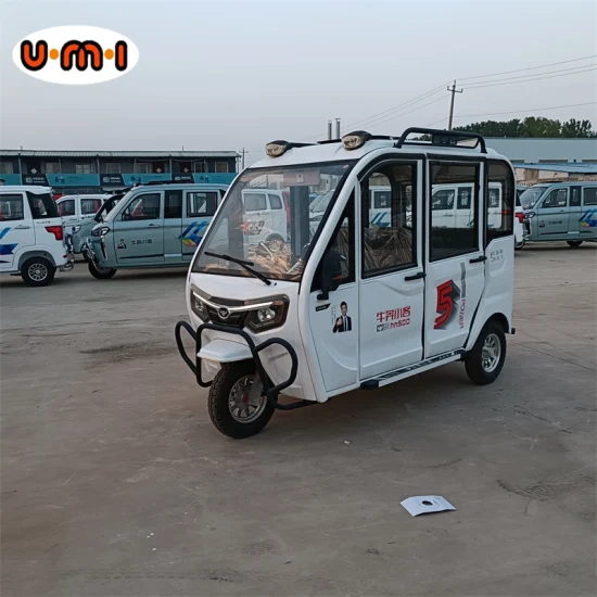 Adult Big Wheel Tricycle Freestyle Tricycle Electric Tricycle for Disabled Automotive Car