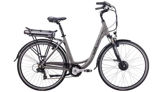 Hot Sale High Speed Electric City Road Bike Ebike with Lithium Battery