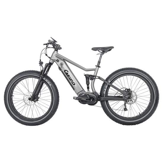 26*4.0 MID-Drive 48V12.8ah Li-ion Battery, 750W/1000W Bafang Brushless Electric City Bike