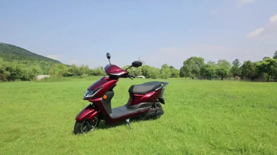 Flymate China Manufacturer High Speed Cheap Adult CKD Electric Motorcycle