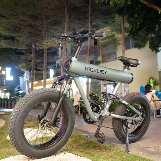 Fast Fat Tire off Road Electric Dirt Bike Mountain City Ebike