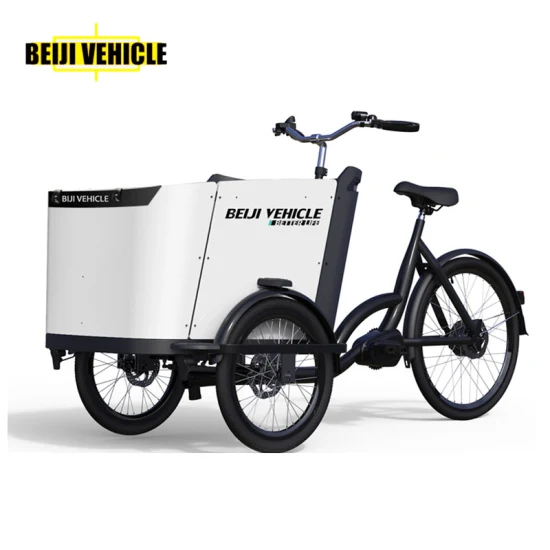 Factory Price 36V/19.2ah Lithium Battery Cargo Delivery Bike Aluminum Frame Electric Cargo Bike for Carry Children