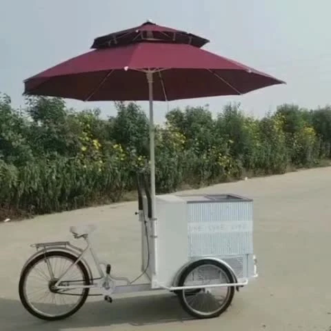 OEM CE Approved 3 Wheel Cargo Bike with Freezer Food Vending Carts for Sale Ice Cream Electric Tricycle